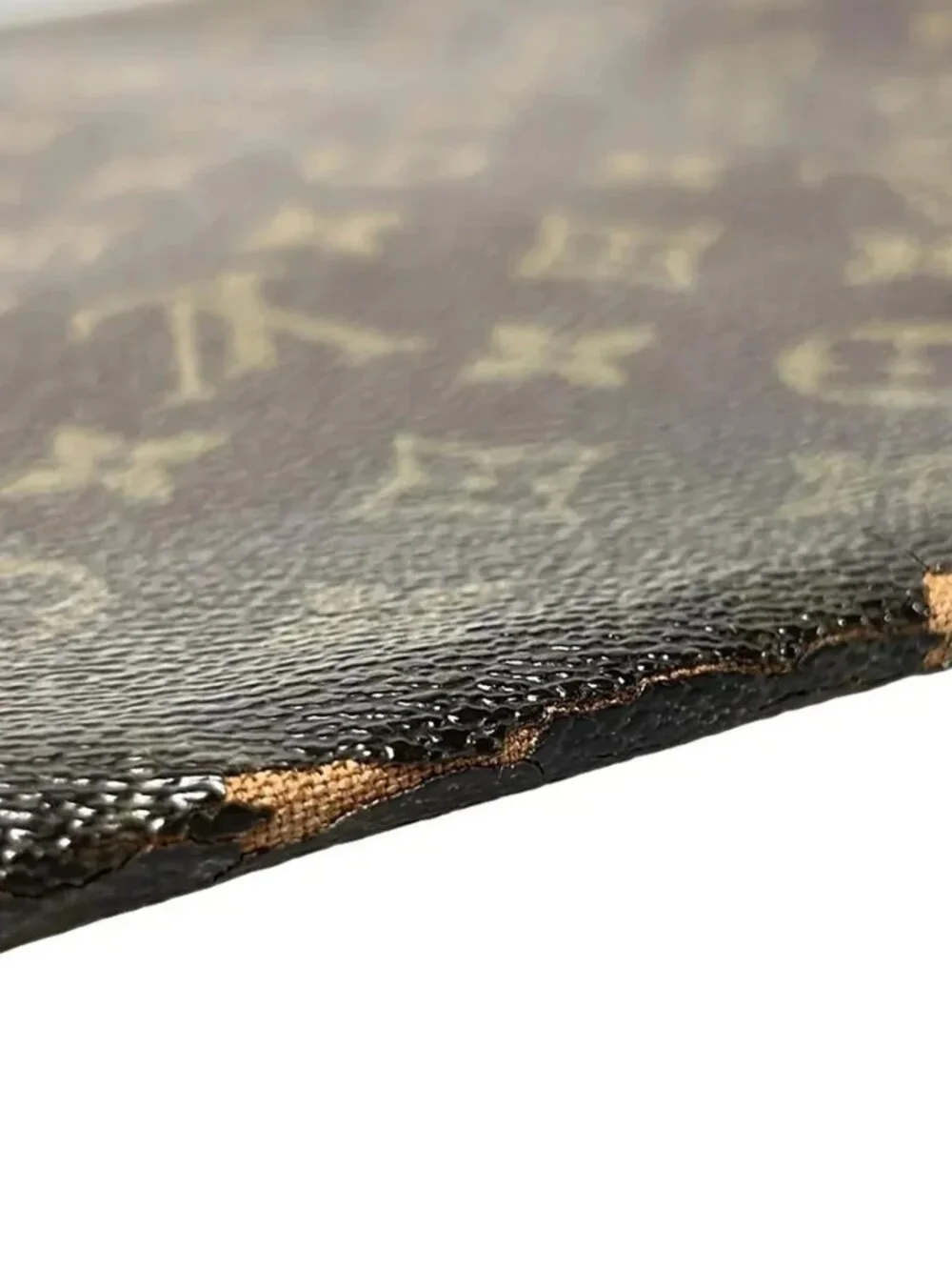 LOUIS VUITTON Porte Documents M53456 Monogram